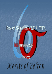 Project Selection, C&E & FMEA