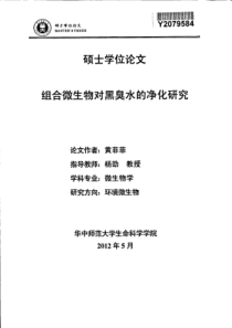 组合微生物对黑臭水的净化研究