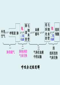 第二节   发生在肺内的气体交换(林)