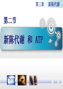 第二节   新陈代谢和ATP