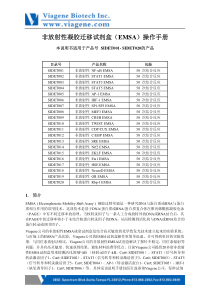 非放射性凝胶迁移试剂盒(EMSA)操作手册