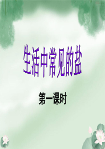 《生活中常见的盐》课件