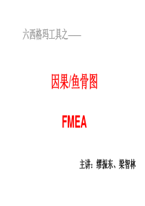 六西格玛工具之一fmea 讲义