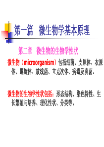 医学微生物学 第一章 课件