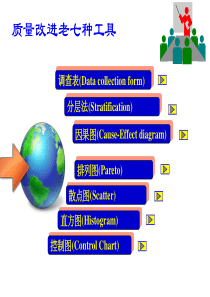 (王新平)-老品管七大工具