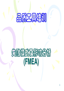 失败模式及影响分析 (FMEA)--bushlu