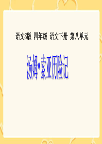 《汤姆索亚历险记PPT课件》优秀教学课件