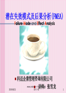 潜在失效模式及后果分析(FMEA)(1)