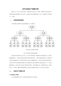 农场生产流程分析