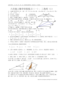 新人教八年级上数学培优练习(几何部分,21页)