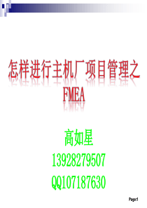 项目管理之FMEA