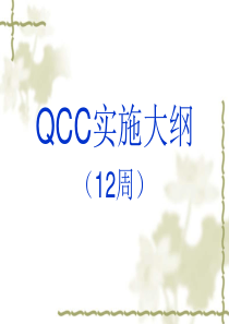 QCC实施大纲12周(2)