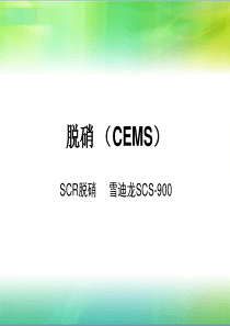 脱硝CEMS