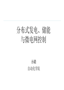 分布式发电与微电网剖析