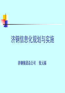 济钢信息化规划与实施