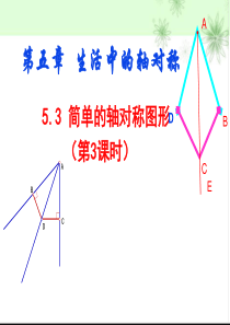 新北师大版七下数学5.3简单的轴对称图形(三) (2)