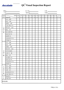 FMQA-129A QC Visual Inspection Report