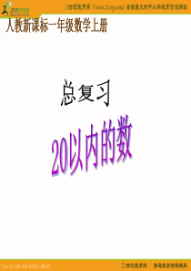 杨军收藏：总复习：20以内的数 1