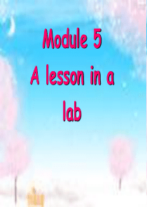 英语：module5 reading课件(外研版必修1)