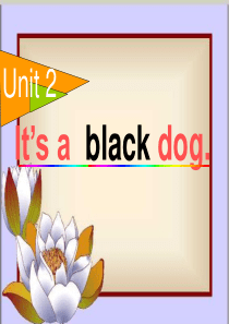 外研版三起三上M4 Unit 2 Its a black dog(2)