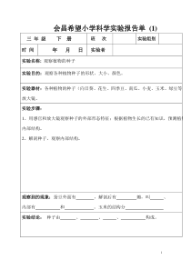 教科版三年级下册科学实验报告单