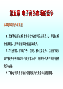 第五章 电子商务与政府行为