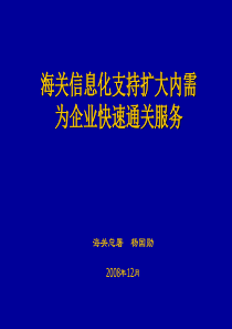 海关信息化支持扩大内需