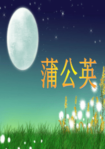 《蒲公英》二年级美术课件