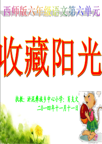 22《收藏阳光》课件