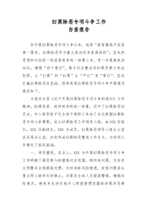 扫黑除恶专项斗争工作自查报告