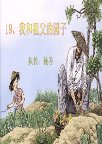 19、我和祖父的园子(修改)