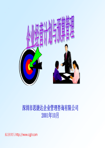 78企业经营计划与预算管理