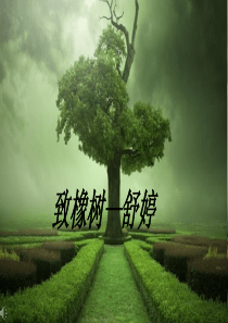 《致橡树》朗诵