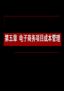 第五章电子商务项目成本管理