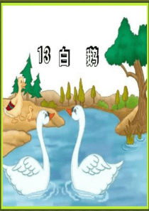 人教版四年级语文上册13.白鹅(精品课件)ppt