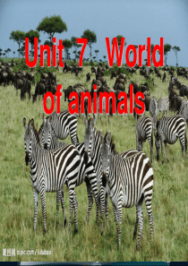 剑桥少儿英语KB3--Unit--7---World-of-animals