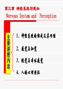 人机工程学精品课程教案3