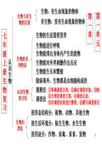 2017年人教版七年级生物上册复习课件