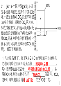 光合作用高考真题