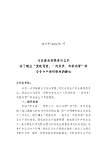 关于建立“党政同责、一岗双责、齐抓共管”的安全生产责任制度的通知