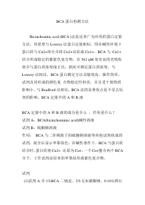 BCA蛋白检测方法