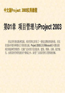 30分钟学会project使用教程