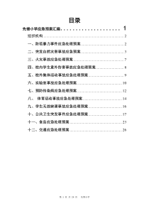 75先锋小学各类应急预案汇编