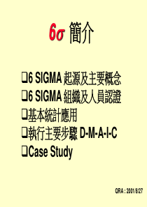 6 SIGMA TRAINING（英文PPT 101页）