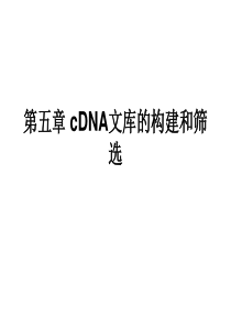 64第五章 cDNA文库的构建