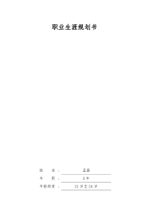 大学生职业生涯规划书