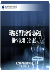 网络发票系统企业端操作说明PPT