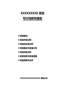 42房地产项目可行性研究报告