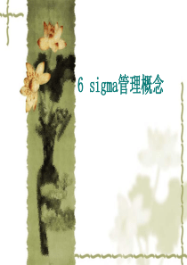 6 SIGMA管理（PPT 247页）