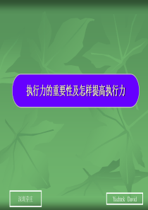 企业执行力的重要性和怎样提高执行力